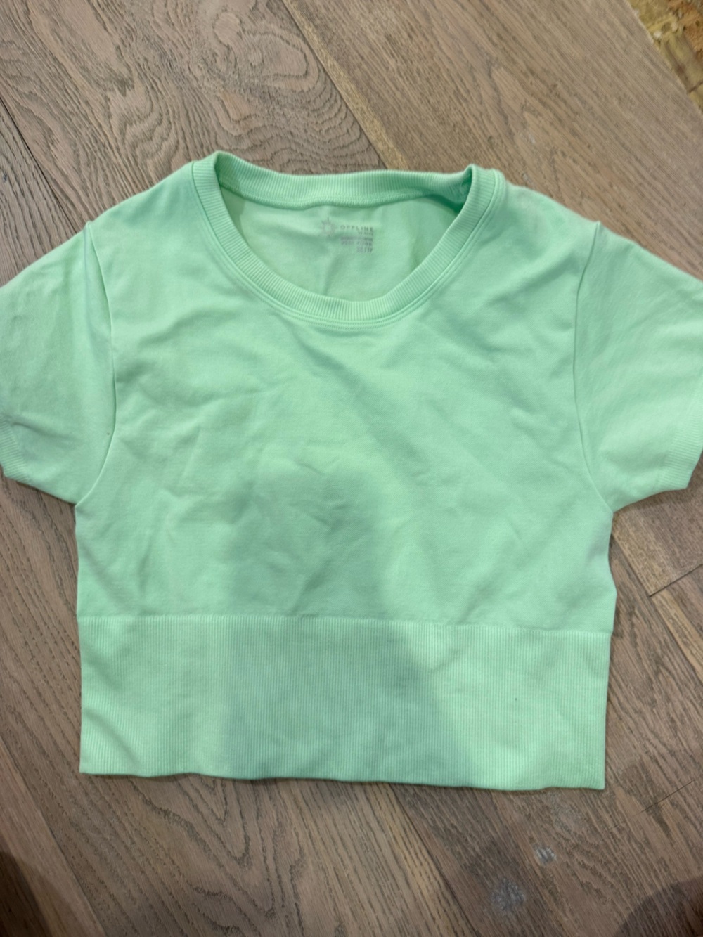 aerie Mint Short Sleeve Cropped Tee